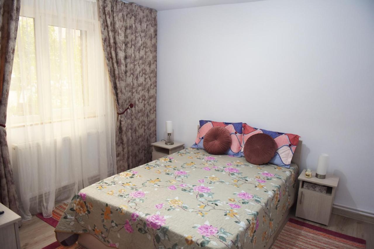 1St Apartment Nehoiu Luaran gambar