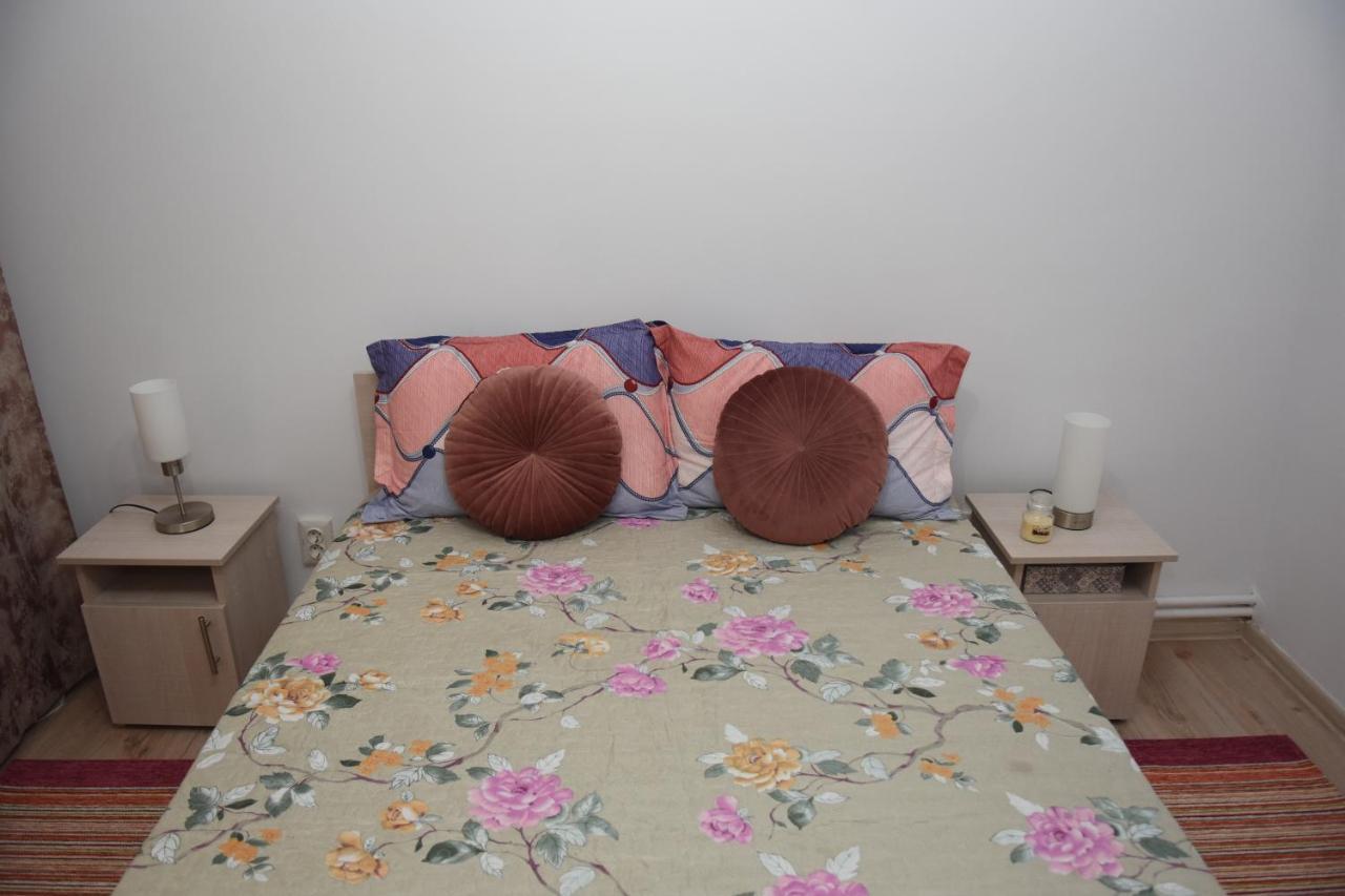 1St Apartment Nehoiu Luaran gambar